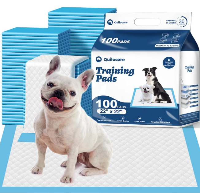 Basics LeakProof Dog and Puppy Potty Training Pee Pads with QuickDry 5Layer Super Absorbent Design, Regular Size 22 x 22 inch, Blue & White, 100 Count