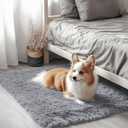 OLANLY 2x3 Machine Washable Small Bedside Rug, Soft Fluffy Shaggy Entryway Throw Rugs for Bedroom, Living Room, Indoor Floor Carpet for Kids Girls Boy, Nursery Rooms, Home Decor Aesthetic, Light Grey