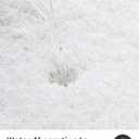 ILANGO White Christmas Bathroom Rugs 24" 17" Non Slip & Super Absorbent Extra Thick Soft, Washable Bath Mat for Floor, Non Shedding Microfiber Plush Shaggy Bath Rug for Bathtub Shower Room Sink