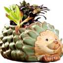 DIYOMR Small Ceramic Planter Pot, 4.3" Vintage Bronze Animal Planters Ceramic Flowerpot Succulent Pots Cactus Pot for Office Home Desktop Decor - Plants Not Included (Hedgehog Pot)