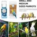 No Mess Bird Feeder Water Dispenser Set, Parakeet Cage Accessories, Automatic Bird Feeder Suitable for Birdcage