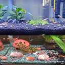 200pcs Mineral Balls for Shrimp Tank - Aquascape Substrate to Support Molting & Water Stability