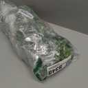 Sggvecsy Artificial Eucalyptus Garland 2 Pack Fake Eucalyptus Greenery Garland Faux Hanging Plants Artificial Vines, 6 Feet/Strand for Wedding Backdrop Arch Wall Table Party Outdoor Festival Decor