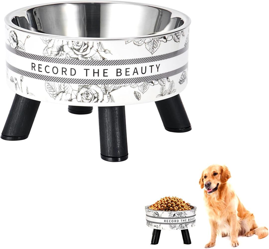 Elevated Cat Food Bowls with Stand, Stainless Steel Anti Vomiting Non-Slip Raised Cat Bowl, Pet Feeding Bowls for Cats Kittens Puppies and Small Dogs