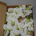 Fnize Faux Orchid Stems Real Touch Artificial Phalaenopsis Flowers Latex Petals 38 Inches 2pcs (Green White)