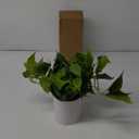 Waipfaru Faux Plants Indoor with Plastic Pots, Realistic Small Fake Plants, Fake Plants with Pothos, Fake Potted Plants, Artificial Plant for Home Shelf Bathroom Kitchen Office Indoor Outdoor Decor