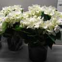 QIANYUN Artificial Topiary for Outdoors -20” Potted Plant Fake Hydrangea Bush-UV Resistant Artificial Outdoor Plants for Front Porch, Garden, Yard, Patio Decor (White)