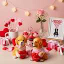 Roowest 2 Pcs Valentines's Dog Couple Figurines Decor Funny Proposal Cute Craft Resin Dog with Heart Sculpture Statue for Valentine Home Office Desk Tabletop Bathroom Decoration, Ornament Gift (3.94")