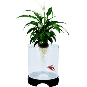 Penn-Plax Aquaponic Planter and Aquarium for Betta Fish | Tank Promotes Healthy Hydroponic Environment for Plants and Fish