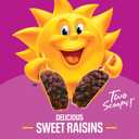 2 x Kelloggs Raisin Bran Breakfast Cereal, High Fiber, 28g Whole Grain, Large Size, 20.9 oz