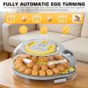 IBKINXX 26 Egg Incubator for Hatching Eggs with Smart Voice Guidance, 360 View with Automatic Temperature & Humidity Control, Auto Egg Turning & Built-in Egg Candler for Chicken, Duck, Goose & Quail