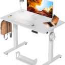 Standing Desk, 40x24 Inch Electric Height Adjustable Computer Desk