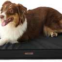 LE SURE Outdoor Waterproof Dog Bed for Medium Sized Dogs, Orthopedic Egg Crate Foam Pet Bed with Oxford Fabric Surface and Removable and Durable Cover, Machine Washable, 30''x20'', Black