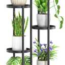 LASZOLA Black 5 Tier Plant Stand Indoor Heavy Duty Metal Planter Flower Holder Rack, Multi Modern Narrow Organizer, Floor Vertical Tower, Spiral Sturdy Decorate for House Bathroom Office Living Room