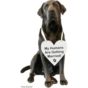 2 x Pulse Brands Engagement Photo Prop Sign - My Humans are Getting Married - Engagement Gifts - Bride to Be - Engaged - Engagement Gifts for Couples (White)