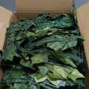 iCover Artificial Ivy Privacy Screen for Fence, 59x98in Strengthened Joint Prevent Leaves Falling Off, Faux Hedge Panels Greenery Vines, Decorative Fences for Outdoor, Garden