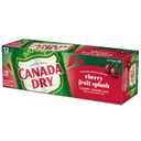 10 x Canada Dry Cherry Gingerale Fruit Splash 12oz, Pack of 12