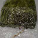 Barcelonetta | Stretch Velvet Fabric | Luxury & Soft | Velvet Fabric | 60" Wide Roll | 10% Spandex | Sewing, Apparel, Upholstery (Olive, 1 Yard)