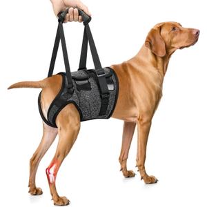 SlowTon Dog Lift Harness - Adjustable Dog Sling for Medium Large Dogs, Hind Leg Support to Help Rehabilitate, Soft Padded Dog Support Harness for Elderly, Injured, Arthritic, Disabled Dogs, L (Large(Waist:22.5''-28''), Grey)