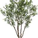 AfanD Artificial Olive Tree Tall,Faux Olive Tree Indoor Artificial Tree for Modern Home Office Living Room Floor Decor Indoor (1, 8ft 1in)