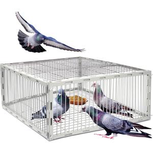 Pigeon Trap Cage with Escape-Proof Design  Auto Bird Trap Cage for Pigeons and Small Birds | Multi-Catch Pigeons Birds Traps for Sale with Well Anti-Rust Baking Paint- L Size (23.8"L x 23.8W x 10.25"H) Pigeon Trap Cage with Escape-Proof Design  Auto Bird Trap Cage for Pigeons and Small Birds | Multi-Catch Pigeons Birds Traps for Sale with Well Anti-Rust Baking Paint- L Size (23.8"L x 23.8W x 10.25"H)