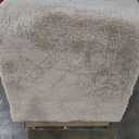 Fluffy Rug Shaggy Area Rug, Beige 4x6 Area Rugs for Bedroom, Small Bedside Rug, Soft Fluffy Shaggy Entryway Throw Rugs for Living Room Bedroom Kids Room Home Decor