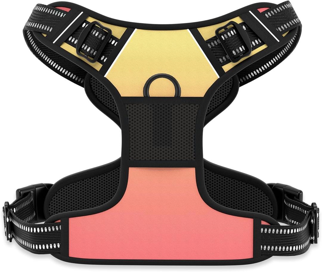 Rnivvi No Pull Dog Harness, Cute Reflective X-Large Sized Puppy Harness, Adjustable Soft Padded Vest for Large Dogs, Heavy Duty Pet Vest with Easy Control Handle for Walking, Abstract Gradient