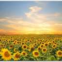 Pacimo Wall Art for Living Room Sunflowers Landscape Modern Wall Decor for Bedroom Office Decor Yellow Flowers Sea Painting Framed Canvas Art Prints Wall Pictures Home Decor Ready to Hang 24"x36"