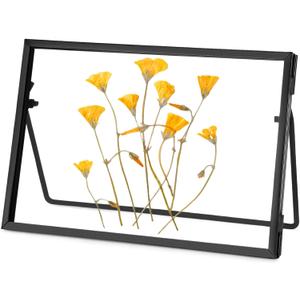 REDHUGO Glass Pressed Flower Frame Handmade, Glass Floating Picture Frames Tabletop Brass Photo Frame for DIY Dried Flowers Home Plant Specimen, Rectangle Horizontal 46 inches,Black (FRAME ONLY) (6L" x 4W")
