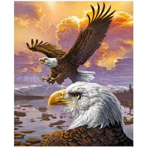 Dawhud Direct Fleece Throw Blanket - 75x90-Inch Flying Eagle Plush Blanket for Kids and Adults - Soft and Cozy for Bed, Couch, or Travel - Thoughtful Gifts Animal Lovers (Iii Eagle Clouds)