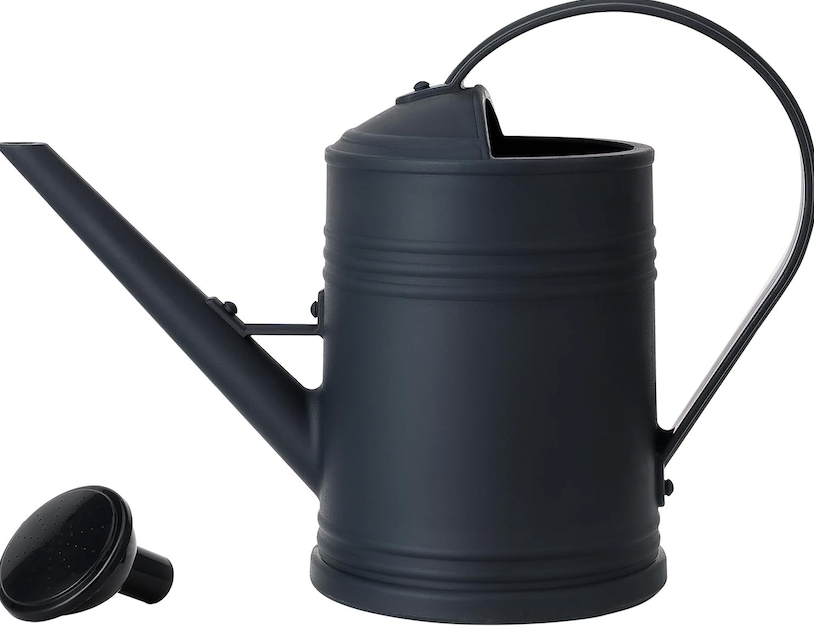Plastic Indoor Watering Can with Sprinkler Head - 68 oz, 1/2 Gallon (Black)