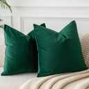 JUSPURBET Dark Green Velvet Throw Pillow Covers 22x22 inch Set of 2 for Living Room Couch Bedroom Decorative Luxury Soft Cushion Cases with Invisible Zipper (22" x 22" (Pack of 2), Dark Green)
