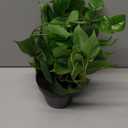 2 Pack Artificial Scindapsus Aureus, Realistic Fake Plants with Plastic Pot for Home Office Bedroom Indoor Outdoor Decor(8in H)