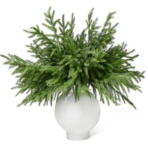 WeGuard 16 Pcs Real Touch Artificial Norfolk Pine Branches, 18 Inches Faux Norfolk Pine Stems Fake Christmas Greenery Picks for Vase DIY Garland Wreath Christmas Decorations Indoor Outdoor
