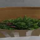 18 Inch Real Touch Cedar Branches - 16 Pcs Artificial Christmas Plants Branches, Faux Greenery Pine Stems Fake Cedar Picks for Vase DIY Crafts, Christmas Pine Branches for Home Indoor Decor