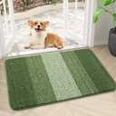 Kitinjoy Indoor Outdoor Door Mat, 30x17 Non-Slip Absorbent Dirt Trapper, Low-Profile Washable Inside Entrance Front Floor Mat, Sturdy Soft Entry Doormats for Entryway, Green