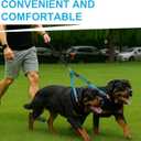 MingXpet Double Dog Leash for Two Dogs, No Pull Dog Leash, 360 Swivel No Tangle for Large Dogs Walking & Training, Shock Absorbing Reflective Bungee, Blue