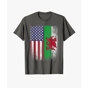 Welsh American Flag T-shirt Wales Usa Pride America Gift T-Shirt for Women Kids Men, Small