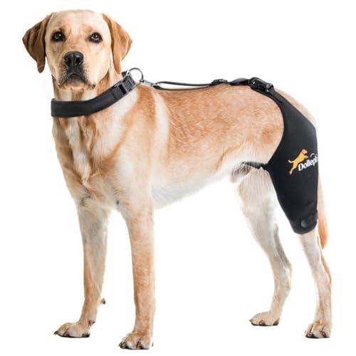Dollephi Dog Knee Brace for Torn ACL Hind Leg, Hot/Cold Compress for Patella Dislocation or Osteoarthritis, Cruciate Ligament Injuries,Patent Pending(Left Leg,M)