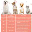 Inflatable Dog Cone Collar with Enhanced Anti-Licking, Soft Neck Donut for Dogs Cats, Recovery Pet Cone Collar After Surgery for Dogs (Watermelon, Small)