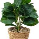 Ewtogift Fake Eucalyptus Plants 14.5 Inches Tall Artificial Eucalyptus Indoor Plants with Green Lifelike Leaves in Black Gray Pot for Home House Outdoor Decor Porch Pots Planter Decorations (Plant A)
