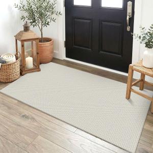EARTHALL Washable Runner Rug, Non Slip Doormat, 2x4 Ft, Cream/Grayish