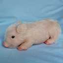 Pig Toys for Girls&Boys 5inch Mini Realistic Silicone Pig, Stretchy Fake Animals Body Mini Silicone Baby Dolls,Lifelike Piggy Soft/Chubby Little Pig, Christmas Giving for Kids/Her (White)