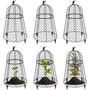 6 Pack Plant Protectors from Animals, Garden Cloches for Plants, Rustproof Chicken Wire Cloche Plant Cages to Keep Animals Out, Sturdy Metal Garden Cages for Outdoor Plants 13" D x 20" H