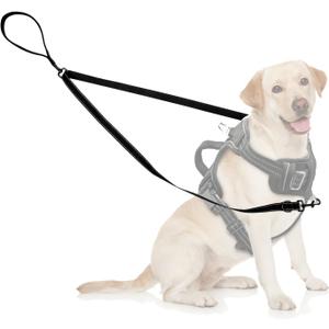 Two Point Control Dog Leash Soft Padded and Reflective Nylon Walking Lead No Tangle Training Leashes Converts to Single Lead Works with No Pull Harnesses for Medium Large Dogs (Black)