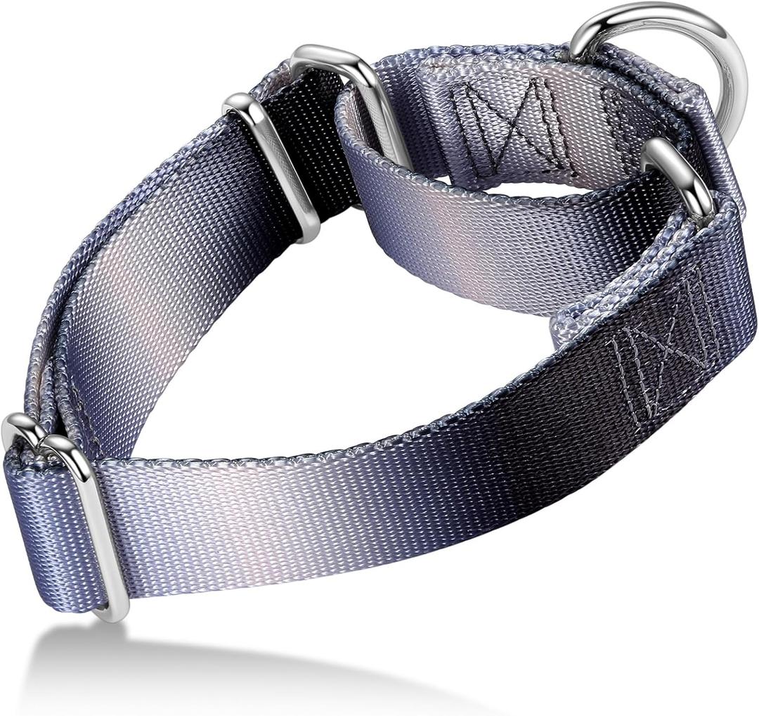 Martingale Dog Collar Colorful Gradient Fashionable - Anti-Escape Soft Durable Pets Collar for Walking Training Outdoor Daily Use -Medium, Blue Black (Medium: 14" -21", Silver grey to Black Gradient)
