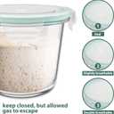 3 Cup Glass Meal Prep Containers With Turquoise Lids, Airtight 23oz glass Storage Container Set, Heat-Resistant BPA-Free for feeding the Southern Starter, Microwave, Dishwasher, Freezer Safe (4 Packs)