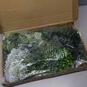 150 Pcs 5 Kinds Artificial Greenery Stems Mixed Artificial Eucalyptus Wedding Bouquet Bulk Fake Eucalyptus Stems Greenery Leaves for Vase Wedding Home Table Decor DIY Bouquets (Green)
