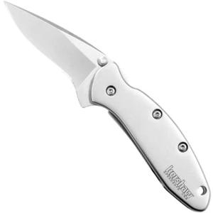 Kershaw Chive Pocket Knife, 1.9 Inch 420HC Steel Blade, Speedsafe Assisted Opening, Made in the USA, (1600)