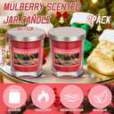 2 Pcs 9 oz Mulberry Candle, Christmas Mulberry Scented Candle Glass Jar Votive Essential Fragrance Oils and Beeswax Blend Glass Jar Candles for Christmas Holiday Winter Gifts Collection